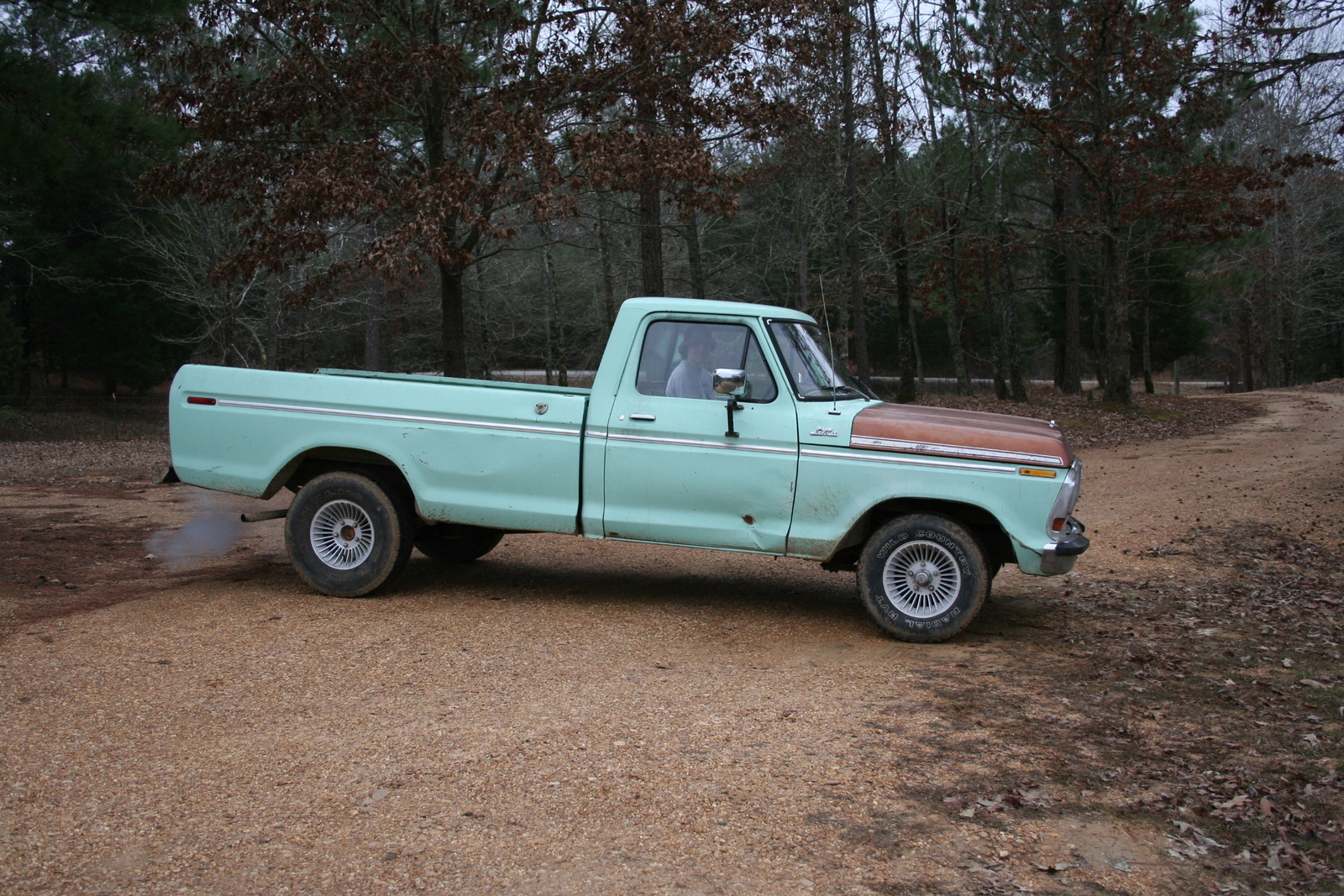 1978 F100 ford #2