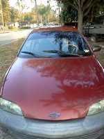 Cavalier Cavalier