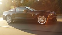 Mustang Mustang