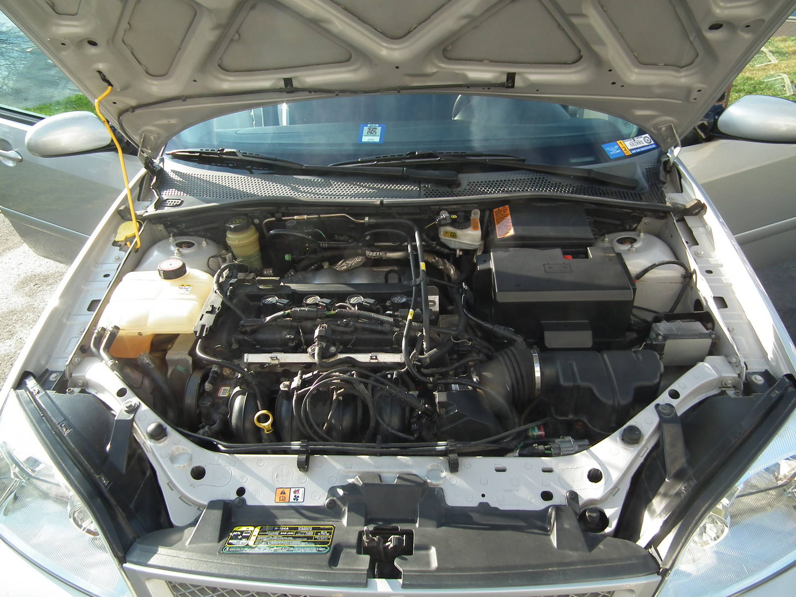 2005 Ford Focus - Pictures - CarGurus