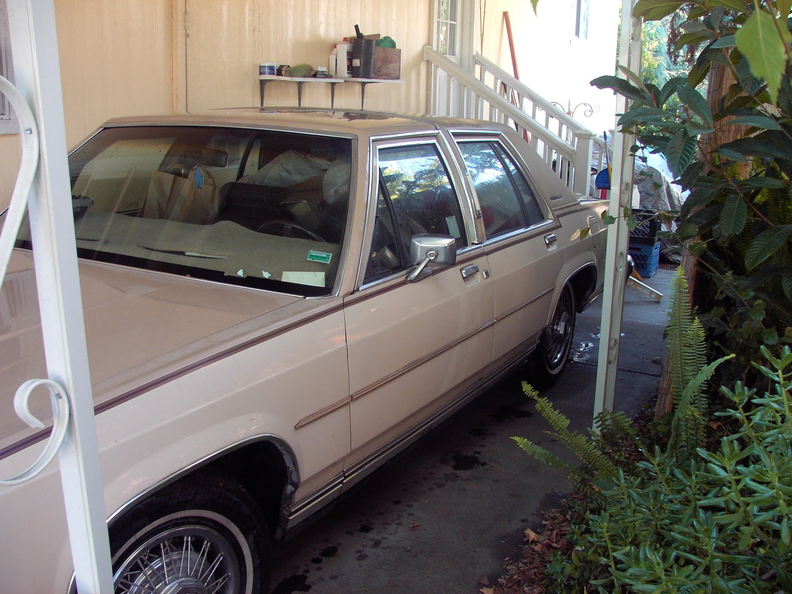 1986 Ford grand marquis