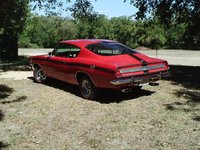 Barracuda Barracuda
