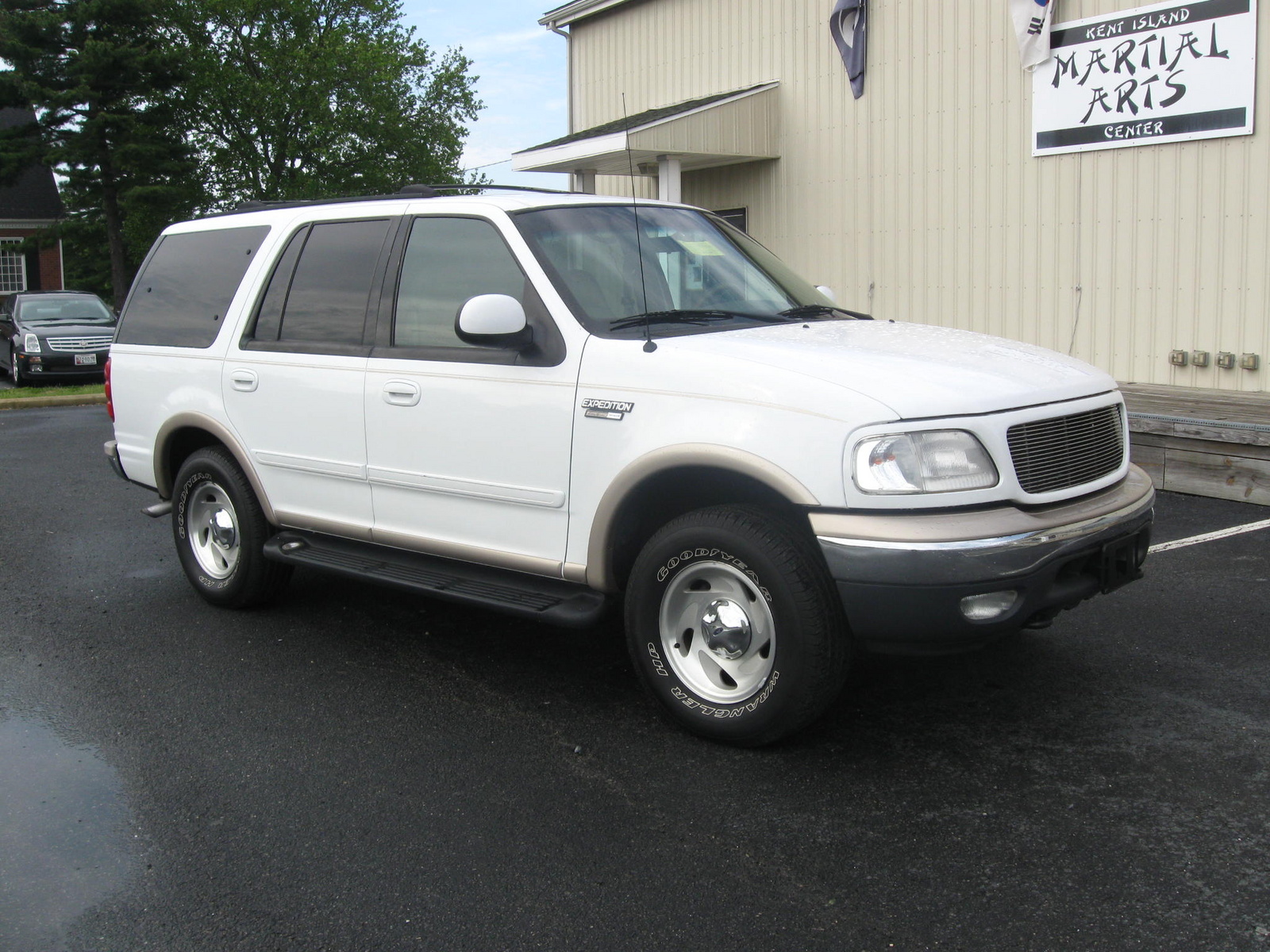 Reviews 1999 ford expeditions #6
