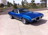 Firebird Firebird