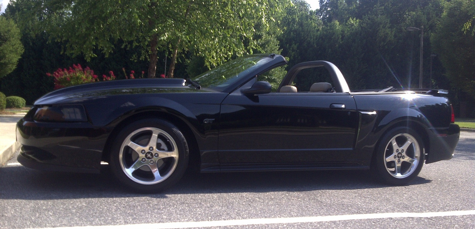 2003 Ford mustang gt deluxe convertible #8