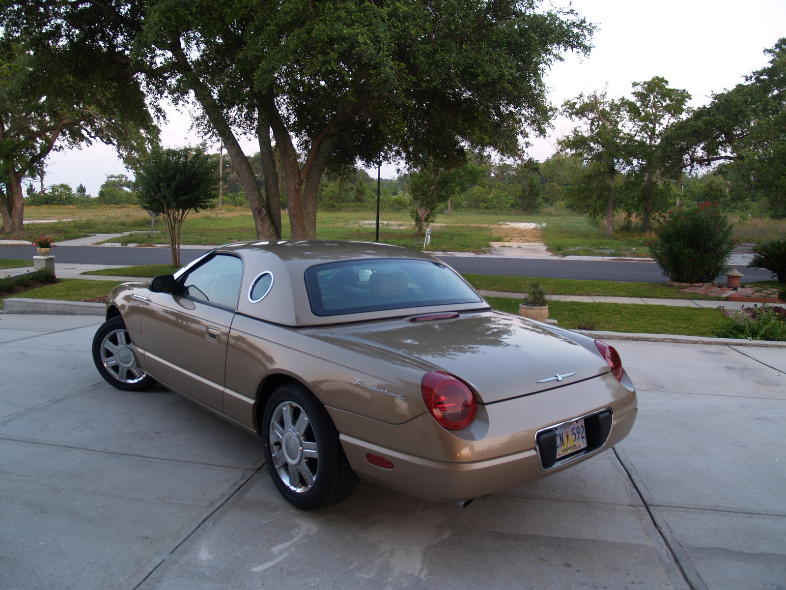 2005 Ford thunderbird canada #5