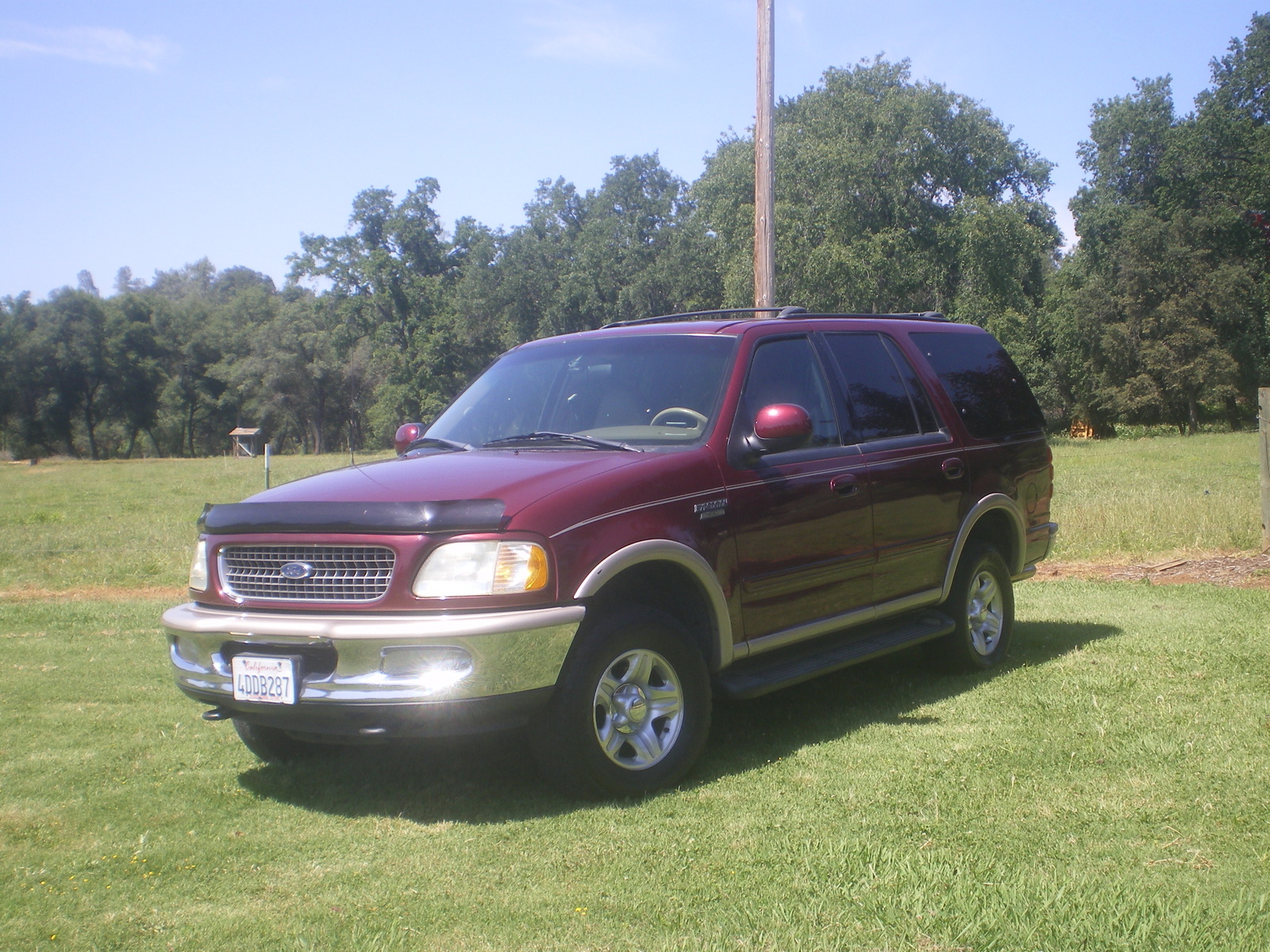 1998 Ford expedition picture #4