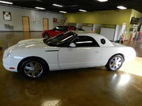 Thunderbird Thunderbird