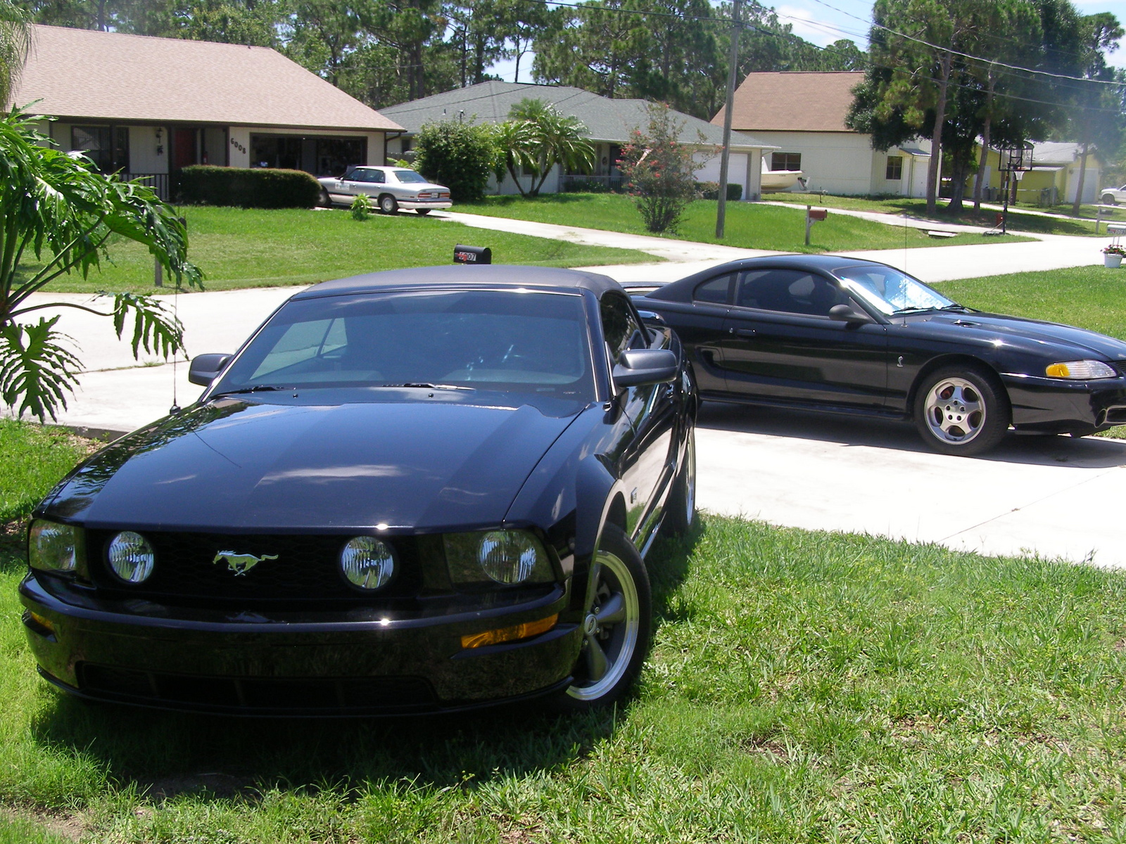 2006 Ford mustang svt cobra compact coupe #8