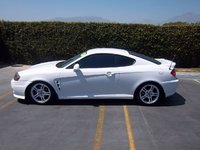 Tiburon Tiburon