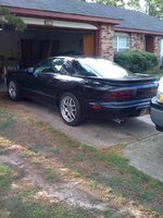 Firebird Firebird