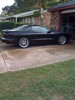 Firebird Firebird