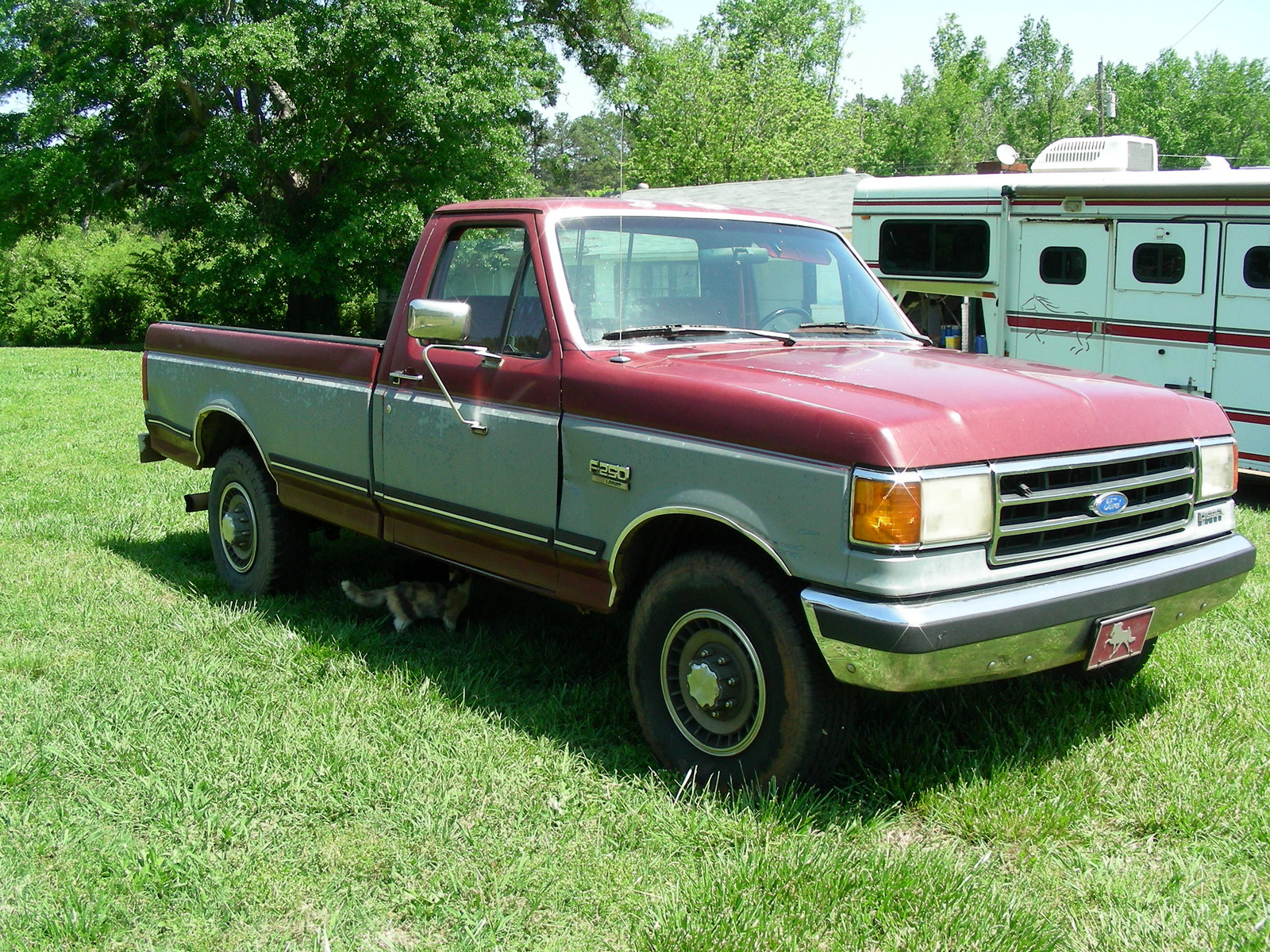 1991 F250 ford #5