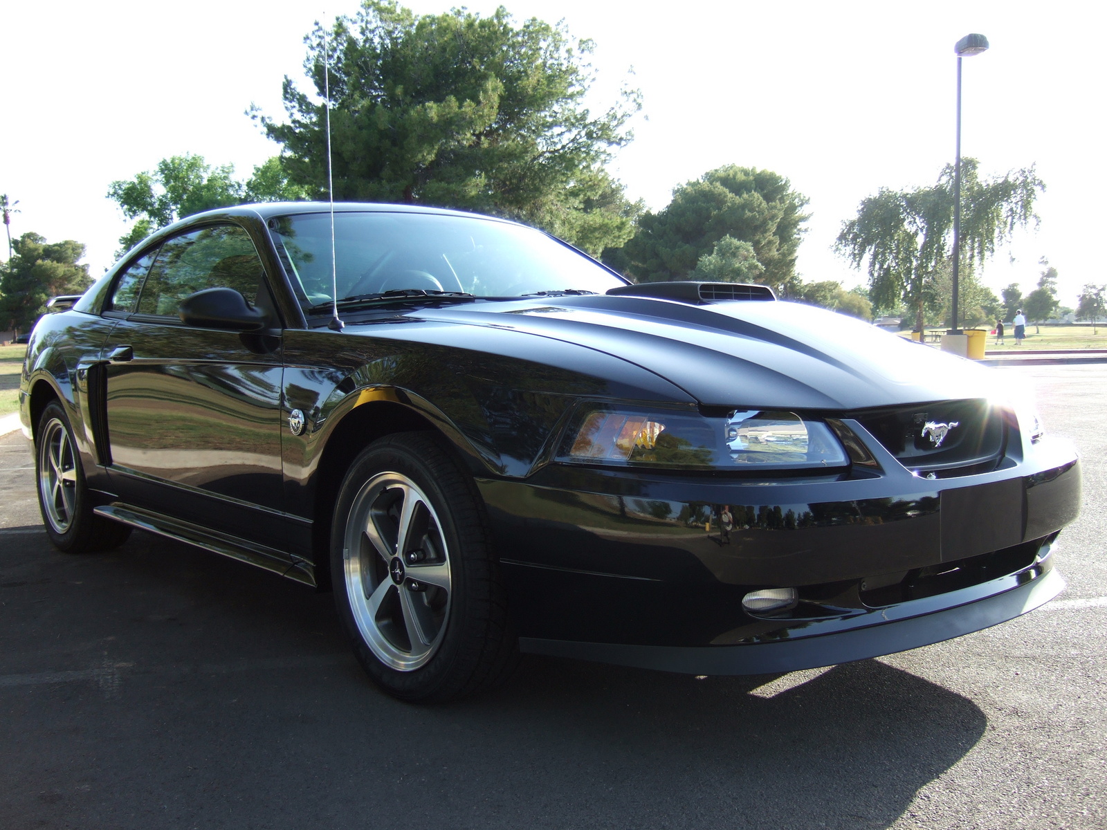 2004 Ford mustang coupe mach 1 #6
