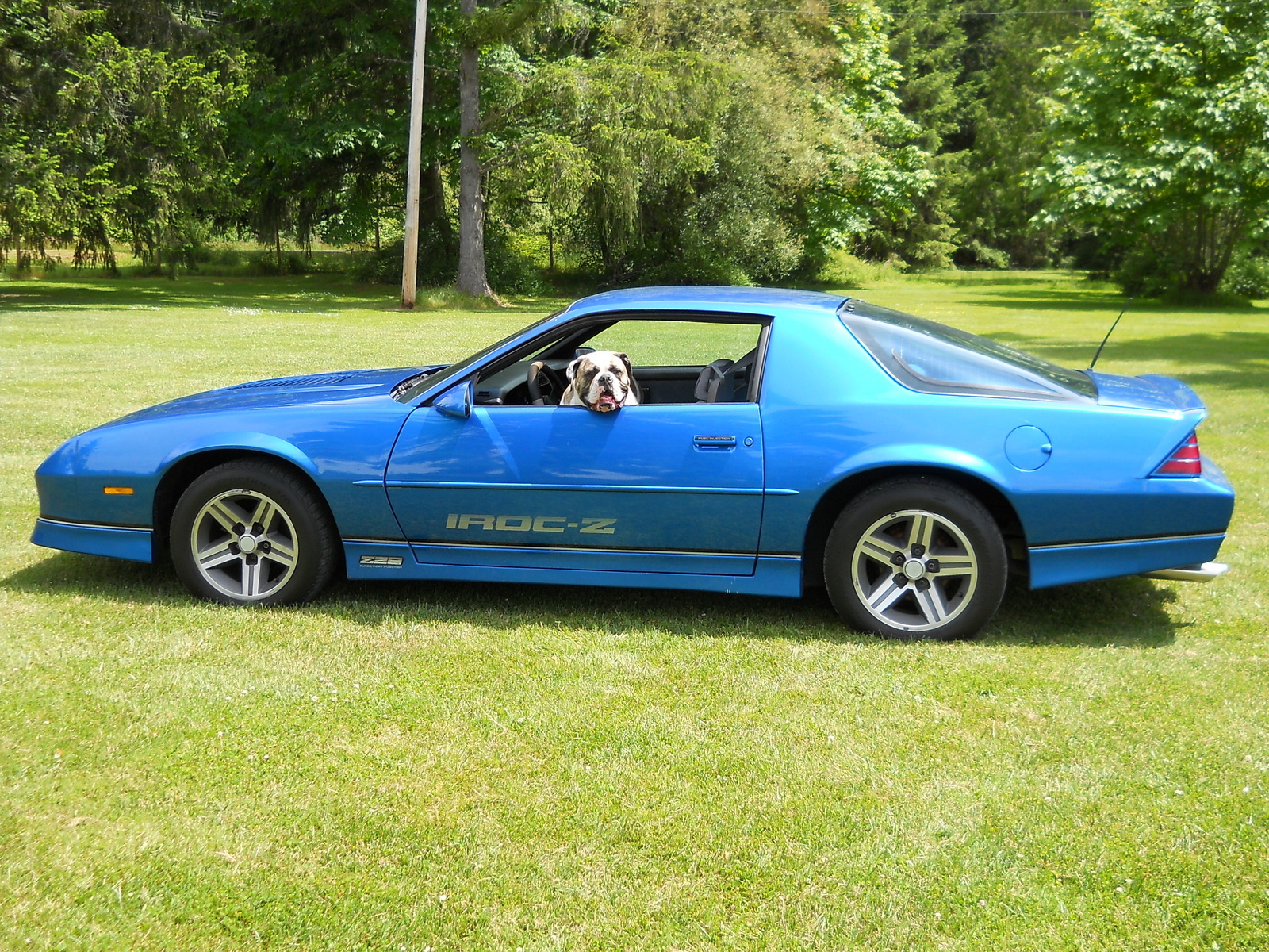 Chevrolet Camaro Questions - How much is a 1985 IROC Z worth with 110 miles  on it - CarGurus