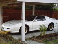 Firebird Firebird
