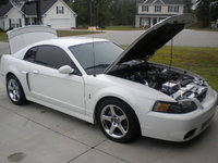 Mustang SVT Cobra Mustang SVT Cobra
