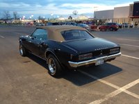 Firebird Firebird