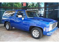 1980 Chevrolet Blazer Overview 1980 Chevrolet Blazer Overview