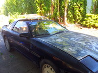 Supra Supra