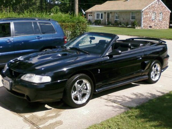 1998 Ford mustang cobra svt coupe #9
