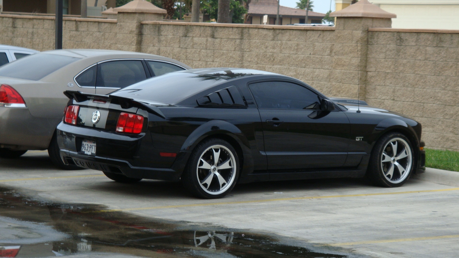 2006 Ford mustangs good cars #10