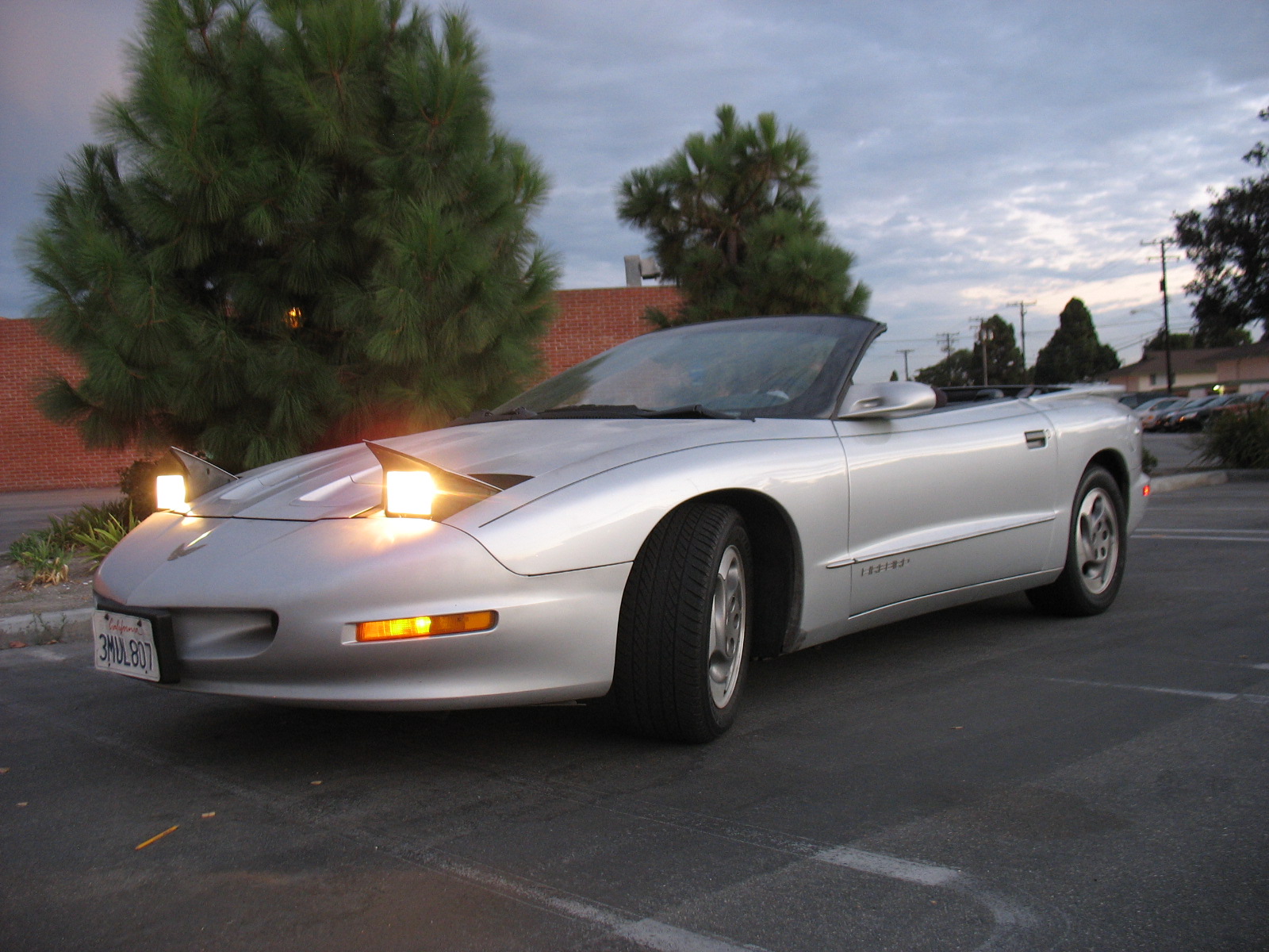 1995 Pontiac Firebird - Overview - CarGurus