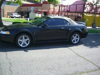 Mustang SVT Cobra Mustang SVT Cobra