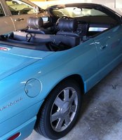 Thunderbird Thunderbird