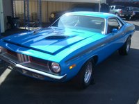 Barracuda Barracuda