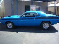 Barracuda Barracuda