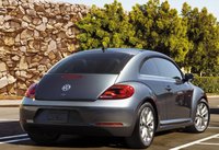 Beetle Beetle