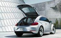 Beetle Beetle