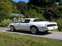 Firebird Firebird