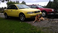 1996 Audi A4 Picture Gallery