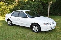 Cavalier Cavalier