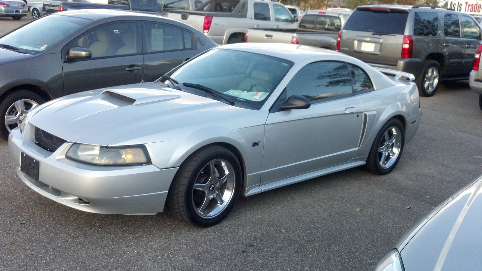 2001 Ford Mustang - Pictures - CarGurus