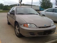 Cavalier Cavalier