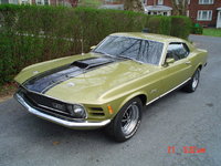 1970 Ford Mustang - Pictures - CarGurus