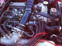 1986 Alfa Romeo Spider Pictures Cargurus