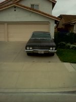 Skylark Skylark