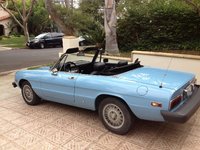 1979 Alfa Romeo Spider Pictures Cargurus