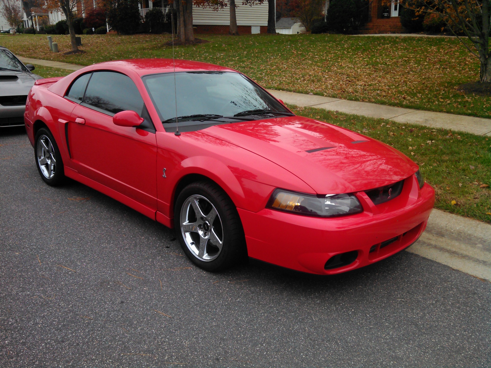 2004 Ford mustang cobra svt coupe 2d #8