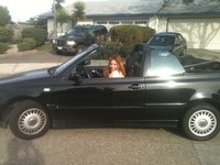 Cabrio Cabrio