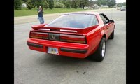 Firebird Firebird