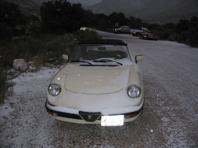 1984 Alfa Romeo Spider Pictures Cargurus