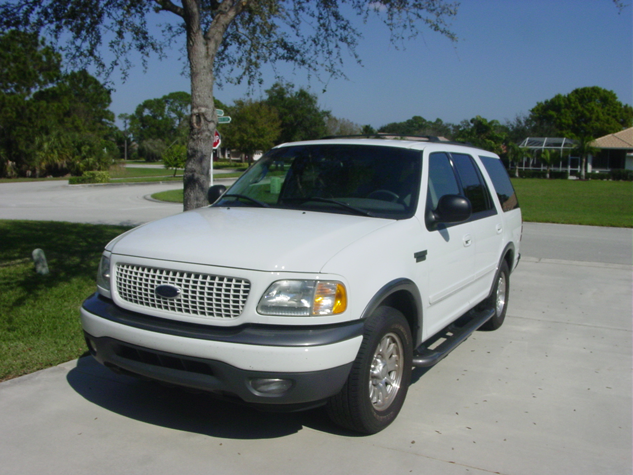 2002 Ford expedition picture
