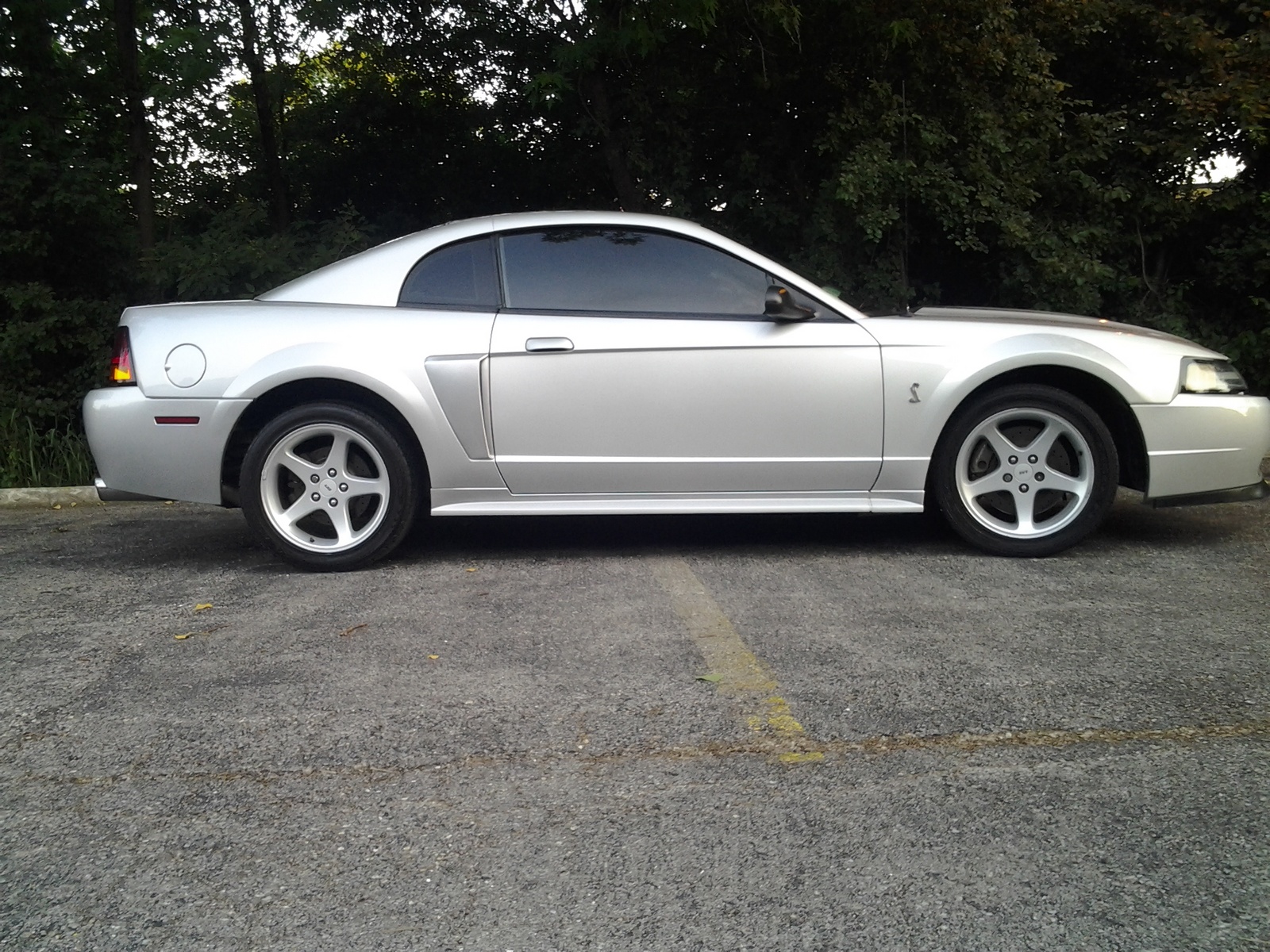 2001 Ford mustang cobra coupe #9
