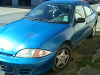 Cavalier Cavalier