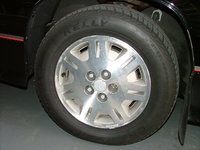 Lumina Lumina